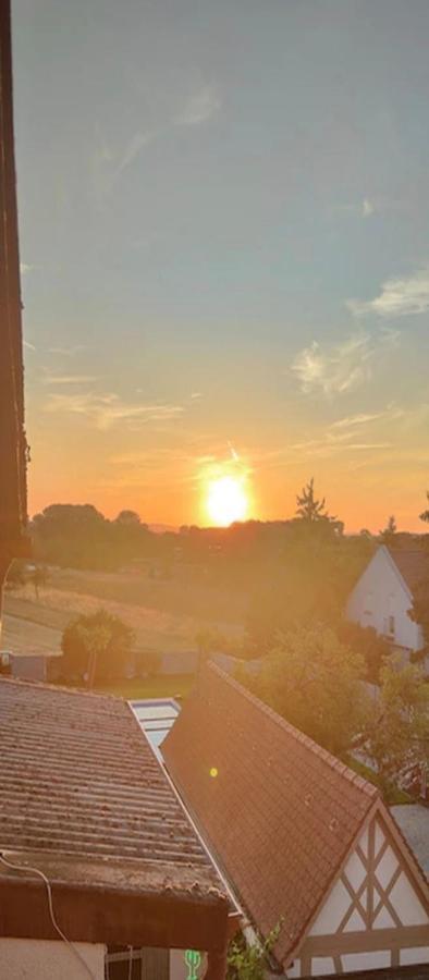 Urlaub Am Rhein Speyer Hockenheim Apartment Altlussheim Exterior foto